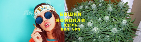 ПСИЛОЦИБИНОВЫЕ ГРИБЫ Санкт-Петербург