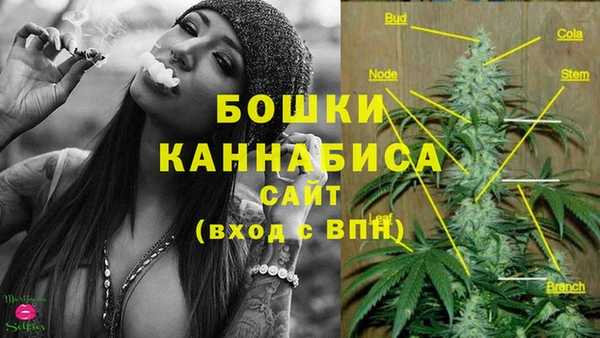 винт Ессентукская