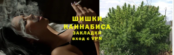 ПСИЛОЦИБИНОВЫЕ ГРИБЫ Санкт-Петербург