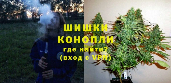 ПСИЛОЦИБИНОВЫЕ ГРИБЫ Санкт-Петербург