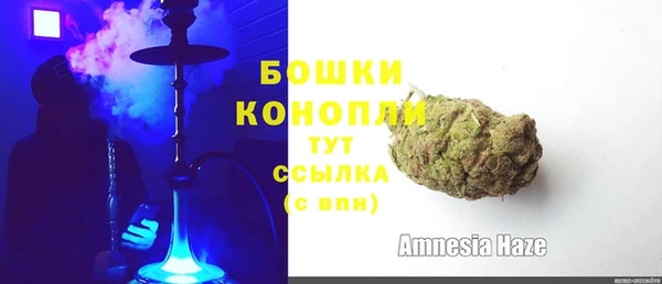 сатива Новосибирск