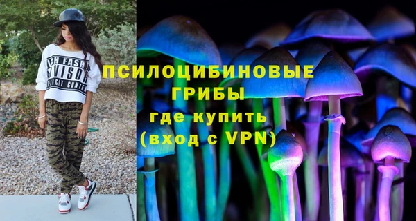 винт Ессентукская