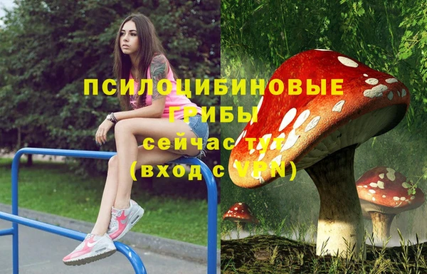 сатива Новосибирск