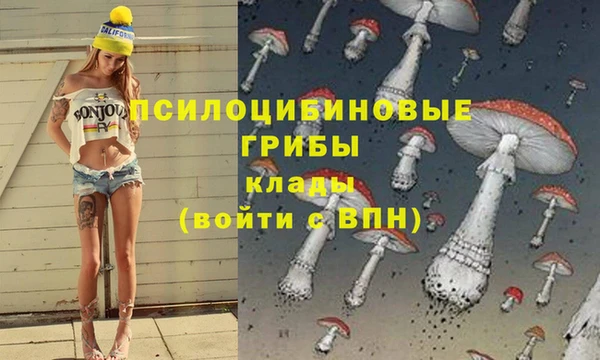 ПСИЛОЦИБИНОВЫЕ ГРИБЫ Санкт-Петербург