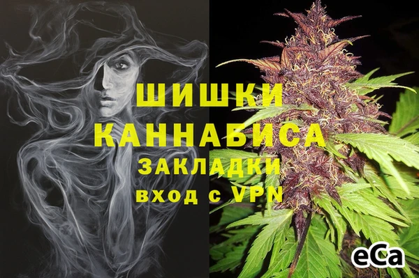 сатива Новосибирск