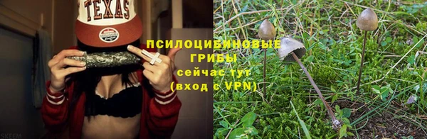 ПСИЛОЦИБИНОВЫЕ ГРИБЫ Санкт-Петербург
