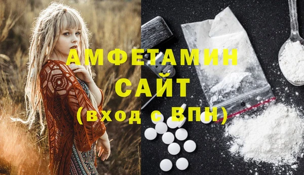 сатива Новосибирск
