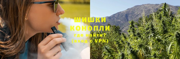 винт Ессентукская