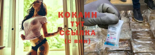 сатива Новосибирск