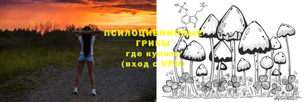 сатива Новосибирск