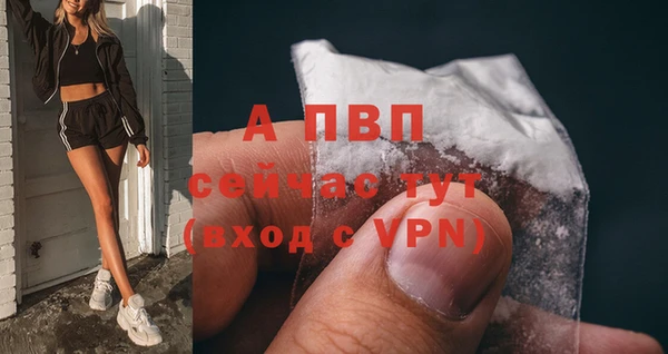 сатива Новосибирск