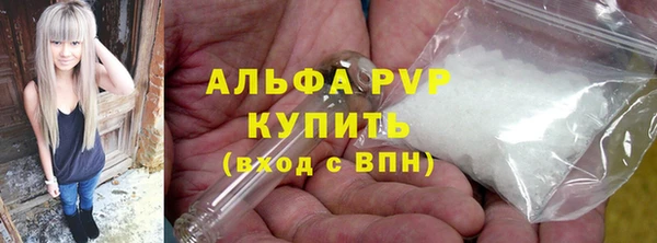 ПСИЛОЦИБИНОВЫЕ ГРИБЫ Санкт-Петербург