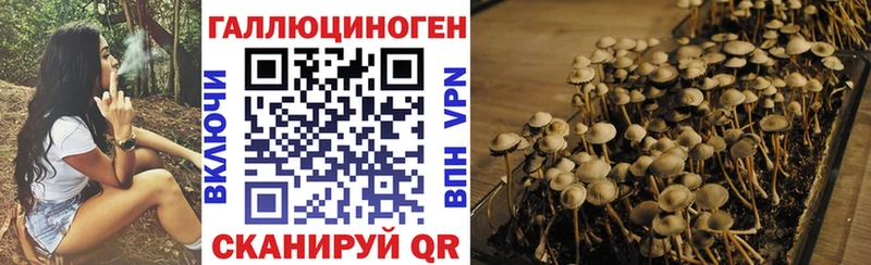 Псилоцибиновые грибы Psilocybine cubensis  наркота  Казань 