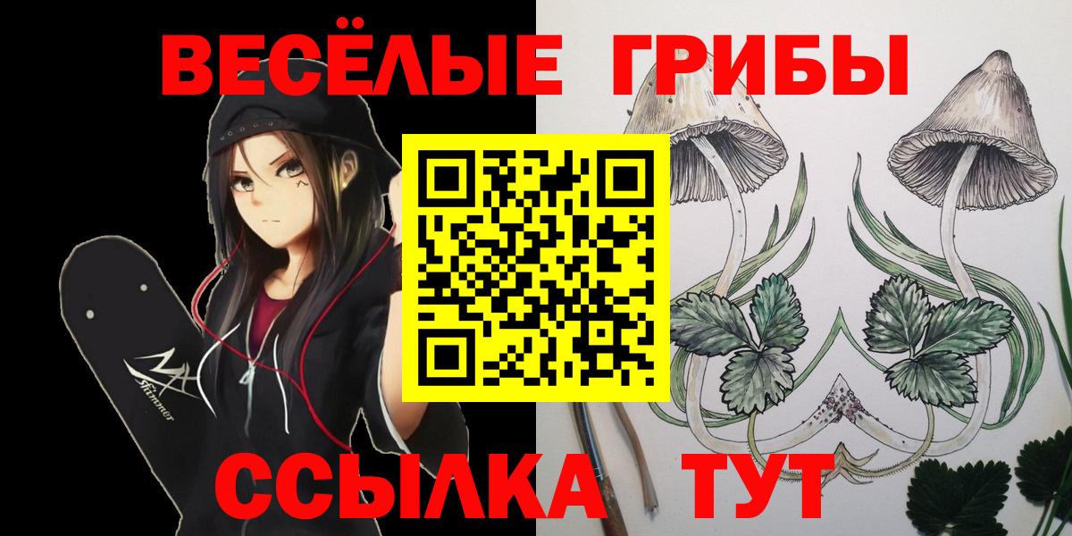 наркотики  Вход с VPN  Россия  Псилоцибиновые грибы ЛСД 