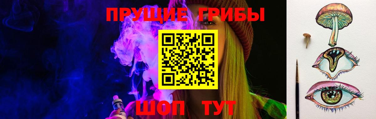 Псилоцибиновые грибы мицелий  Россия 